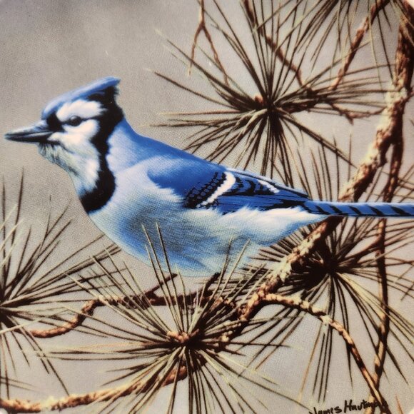 2001 Tone World Hautman Brothers Birds Blue Jay Decorative Collectors Plate - Picture 3 of 6
